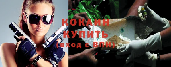 крисы Пересвет