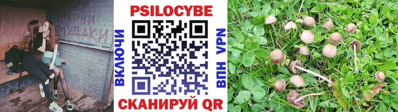 Псилоцибиновые грибы Cubensis  Адыгейск 